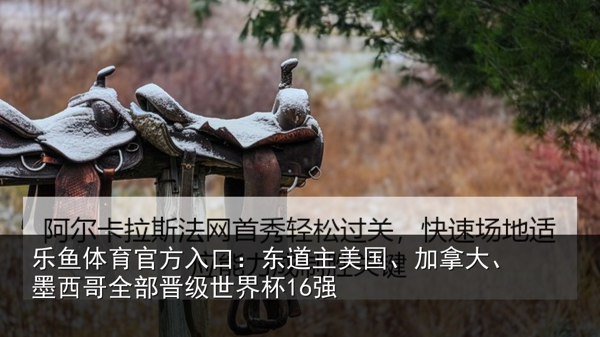 乐鱼体育官方入口:东道相关情况哥全部晋级世界杯16强