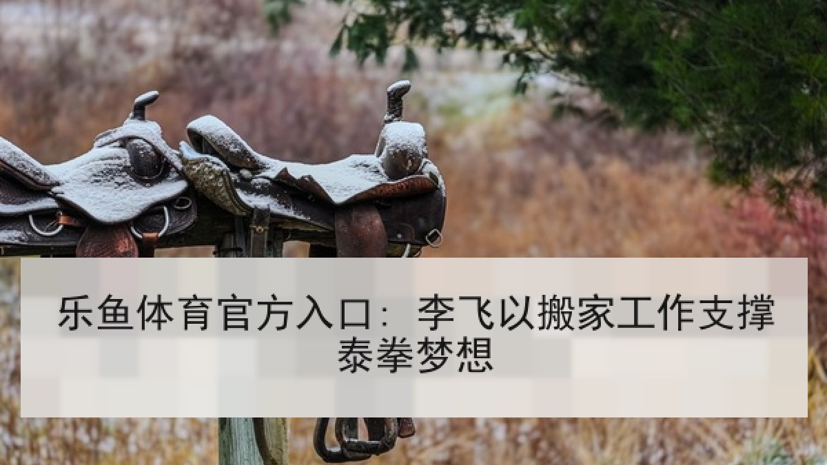 乐鱼体育官方入口: 李飞以搬家工作支撑泰拳梦想 乐鱼体育官方入口: 李飞以搬家工作支撑泰拳梦想