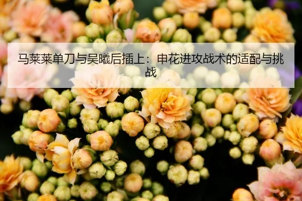 马莱莱单刀与吴曦后插上：申花进攻战术的适配与挑战