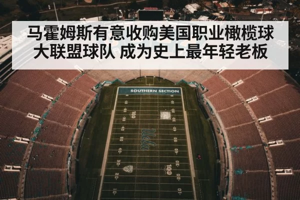 马霍姆斯有意收购美国职业橄榄球大联盟球队 成为史上最年轻老板